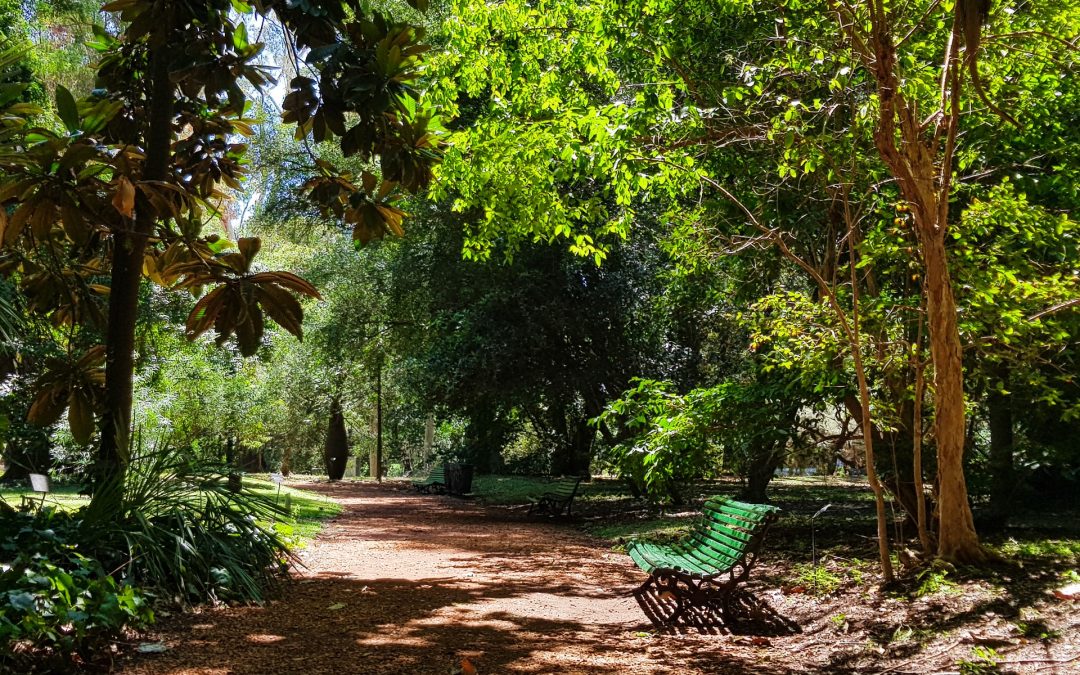 Preservación de la biodiversidad: Concientizar sobre el uso y la función de los espacios públicos.